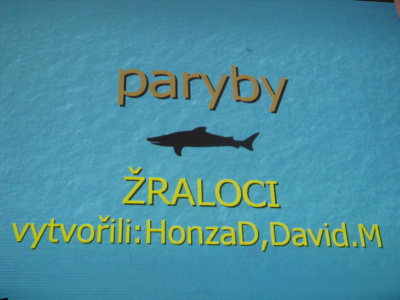 Paryby - Honza D., David
